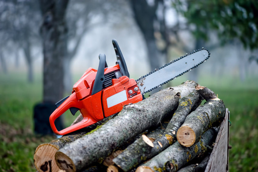 Cutting Edge A Chainsaw Buyers Guide