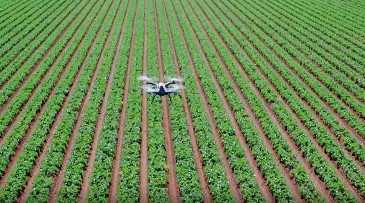 Multispectral Sensors: How Drones are Helping Farmers